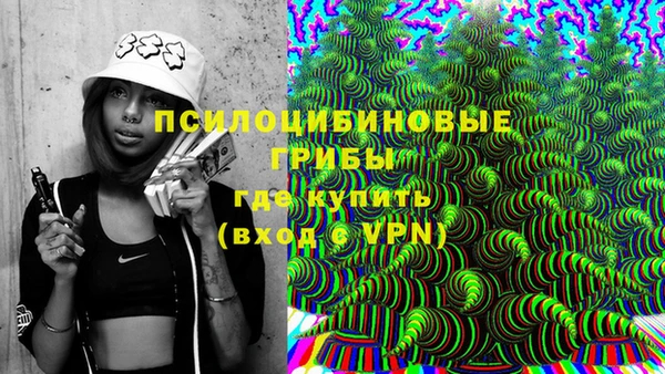 эйфоретик Балахна