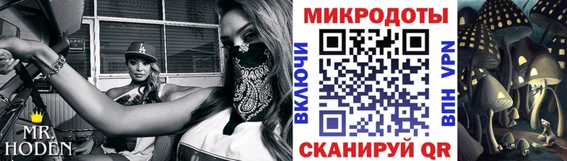 Псилоцибиновые грибы мицелий  ссылка на мегу онион  Салаир 